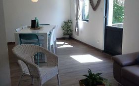 Au Vieux Lavoir Avec Parking Prive, Jardin , Climatisation, A 500 M De La Cite