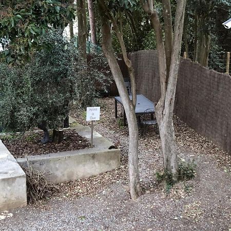 Au Vieux Lavoir Avec Parking Prive, Jardin , Climatisation, A 500 M De La Cite Carcassonne Exterior photo