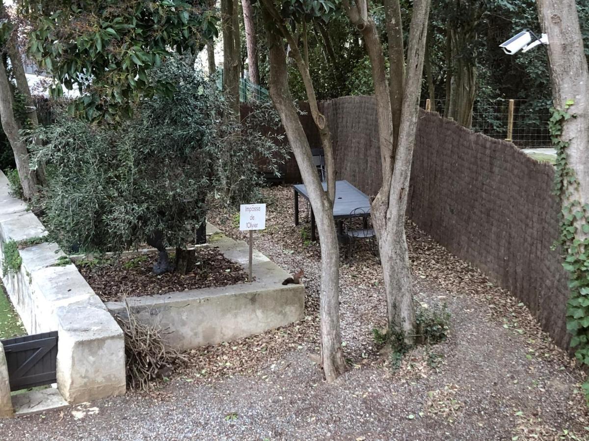 Au Vieux Lavoir Avec Parking Prive, Jardin , Climatisation, A 500 M De La Cite Carcassonne Exterior photo