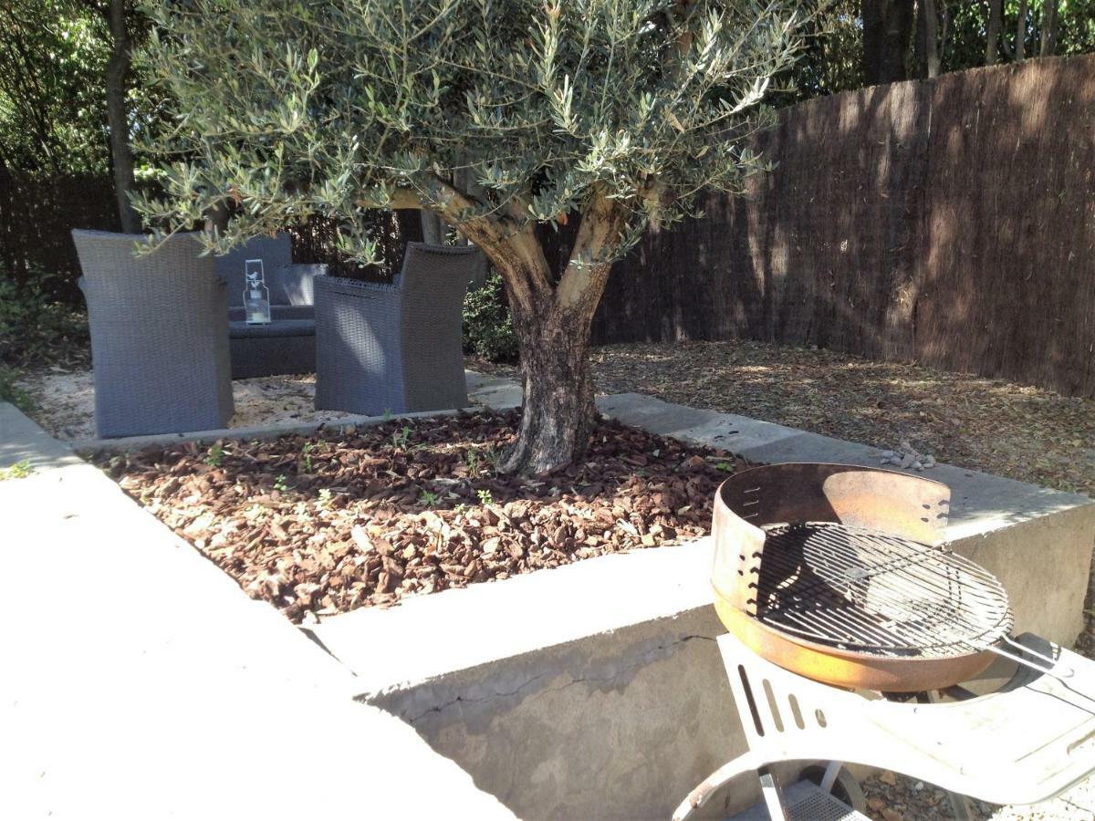 Au Vieux Lavoir Avec Parking Prive, Jardin , Climatisation, A 500 M De La Cite Carcassonne Exterior photo