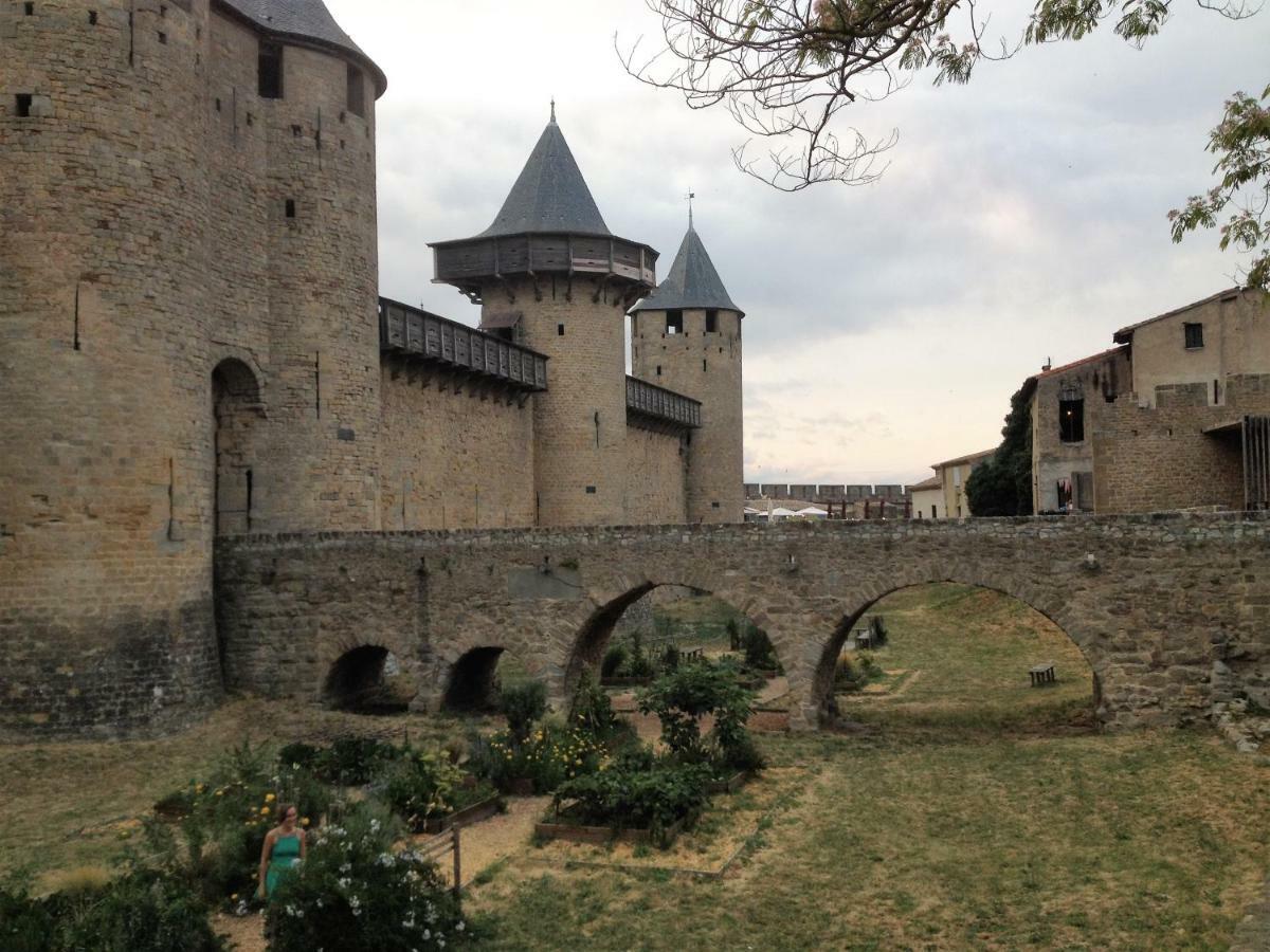 Au Vieux Lavoir Avec Parking Prive, Jardin , Climatisation, A 500 M De La Cite Carcassonne Exterior photo